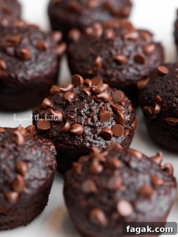 Mini chocolate banana muffins topped with mini chocolate chips placed close together on a white background.