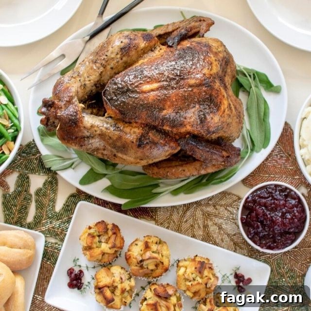 overhead shot of turkey