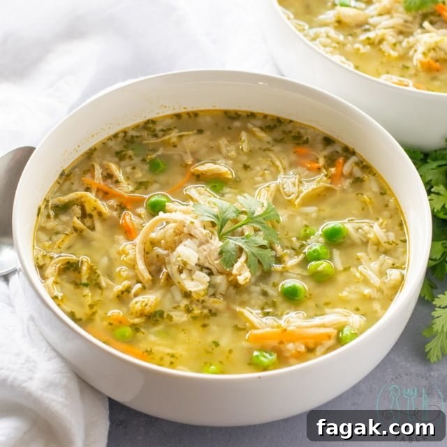 Bowl of Turkey and Rice Soup with Cilantro