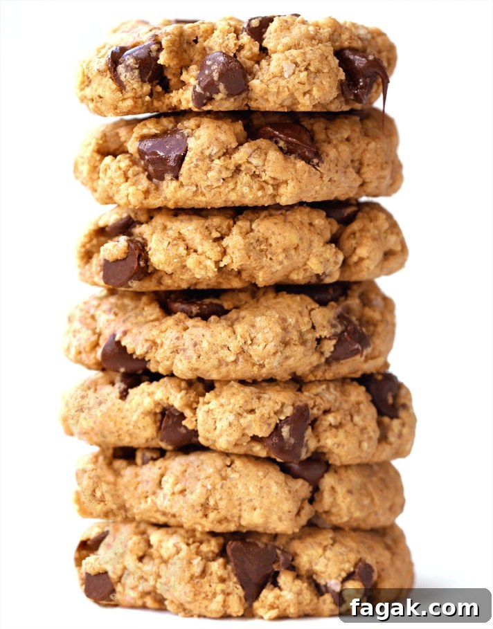 Girls Night Chocolate Chip Peanut Butter Cookies