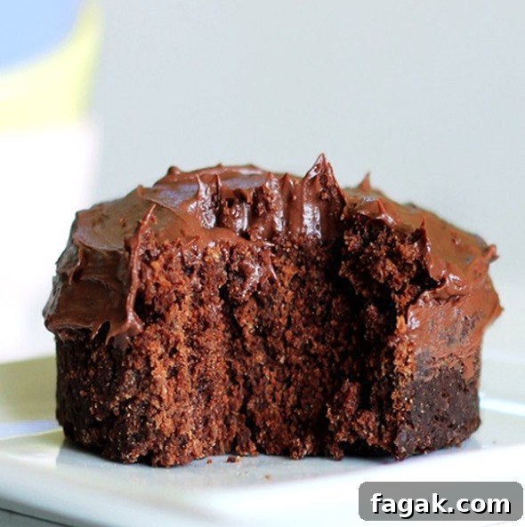 Chocolate Vegan Mug Cake