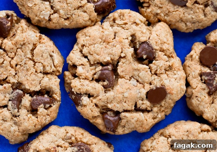 Chocolate Chip Peanut Butter Cookies Recipe