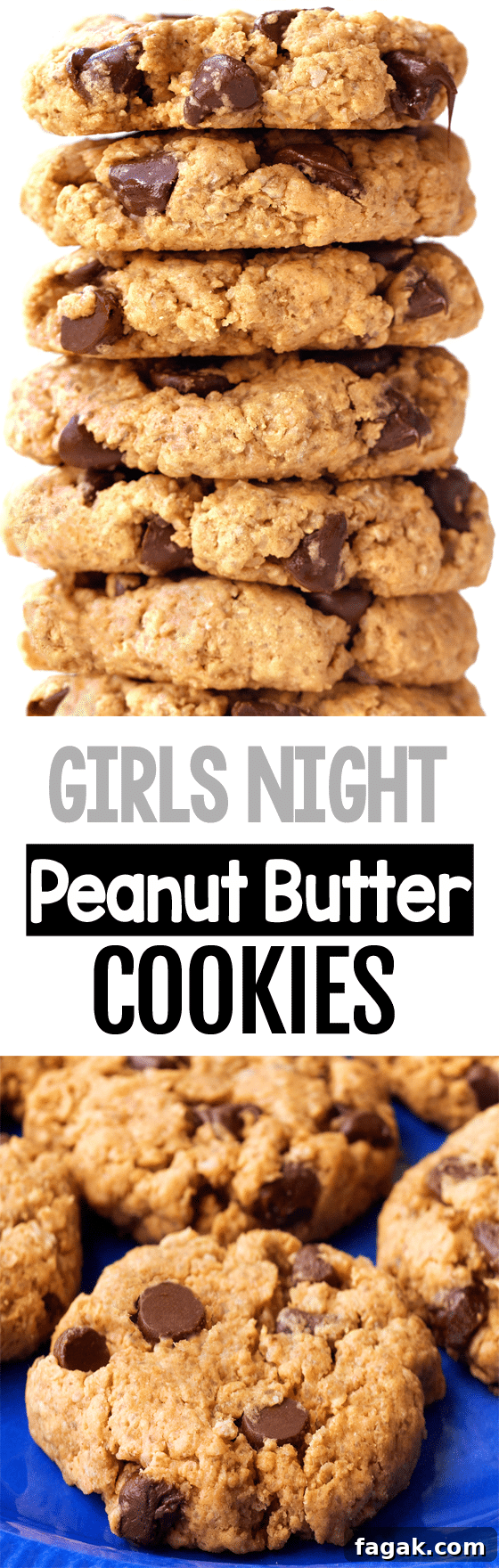 Girls Night Vegan Chocolate Chip Peanut Butter Cookies