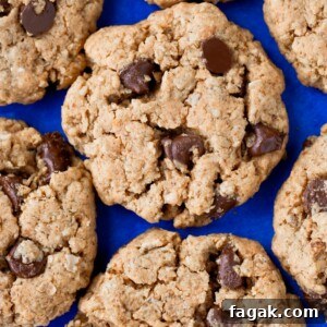 Vegan Chocolate Chip Peanut Butter Cookies
