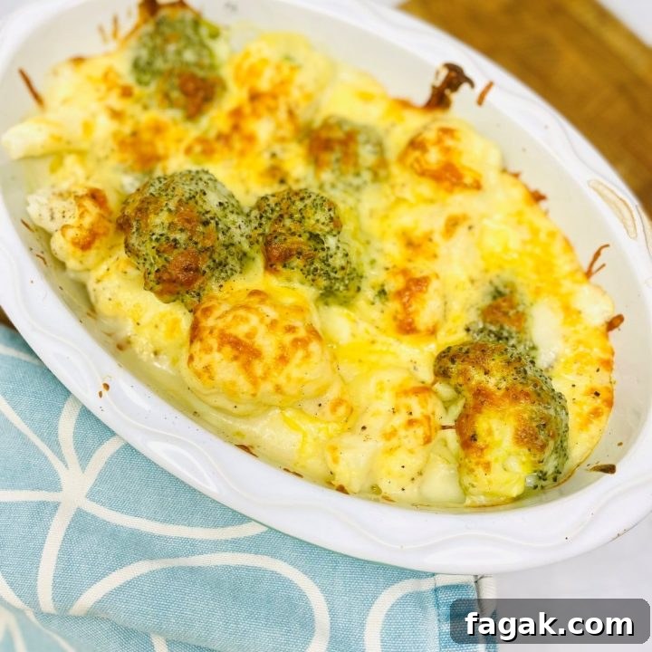 broccoli and cauliflower cheese bake fresh from the oven