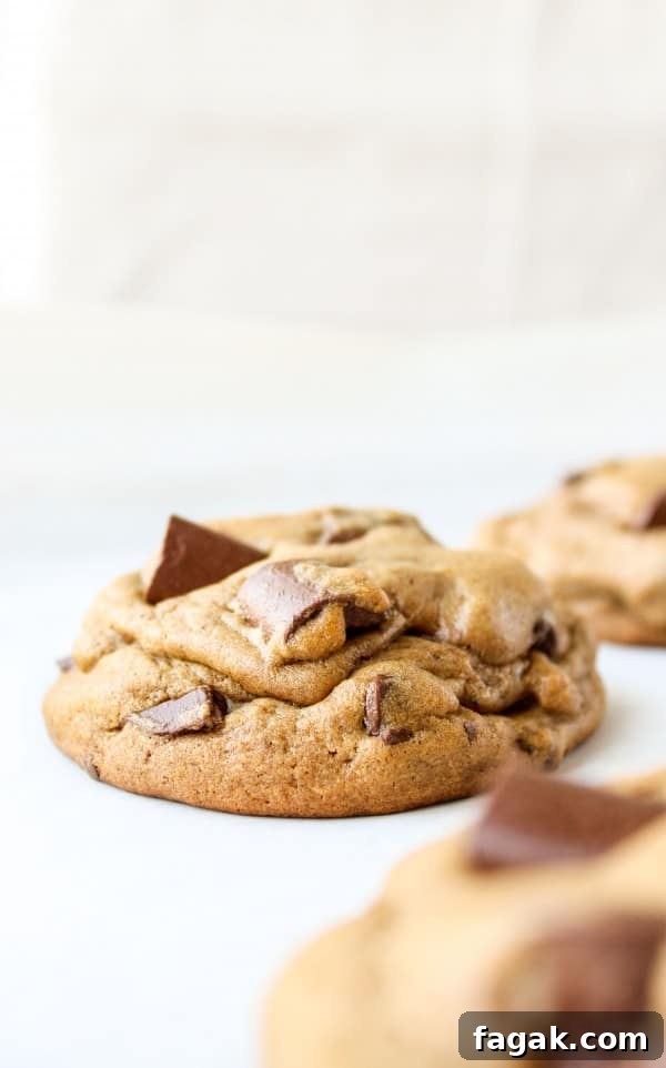 Chocolate Chunk Gingerbread Cookies Recipe with Molten Chunks 3 Chocolate Chunk Gingerbread Cookies