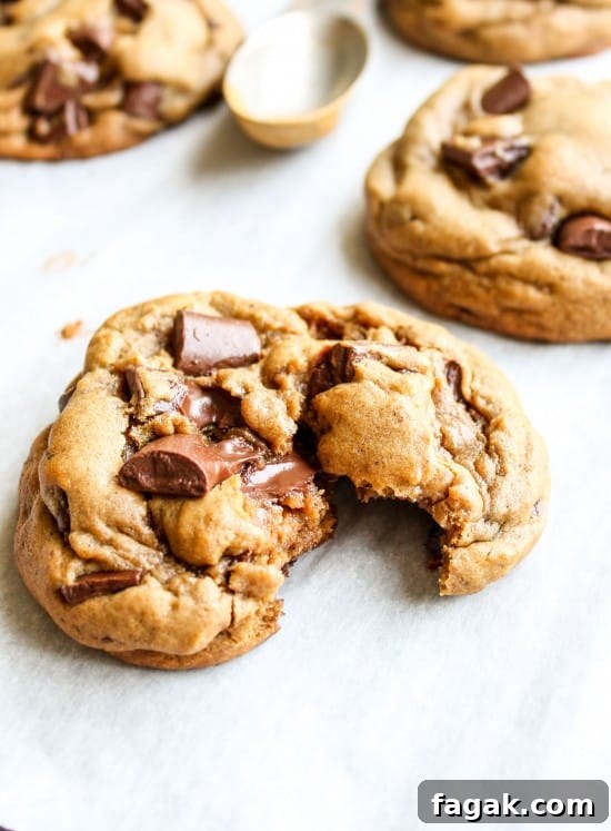 Chocolate Chunk Gingerbread Cookies Recipe with Molten Chunks 5 Chocolate Chunk Gingerbread Cookies