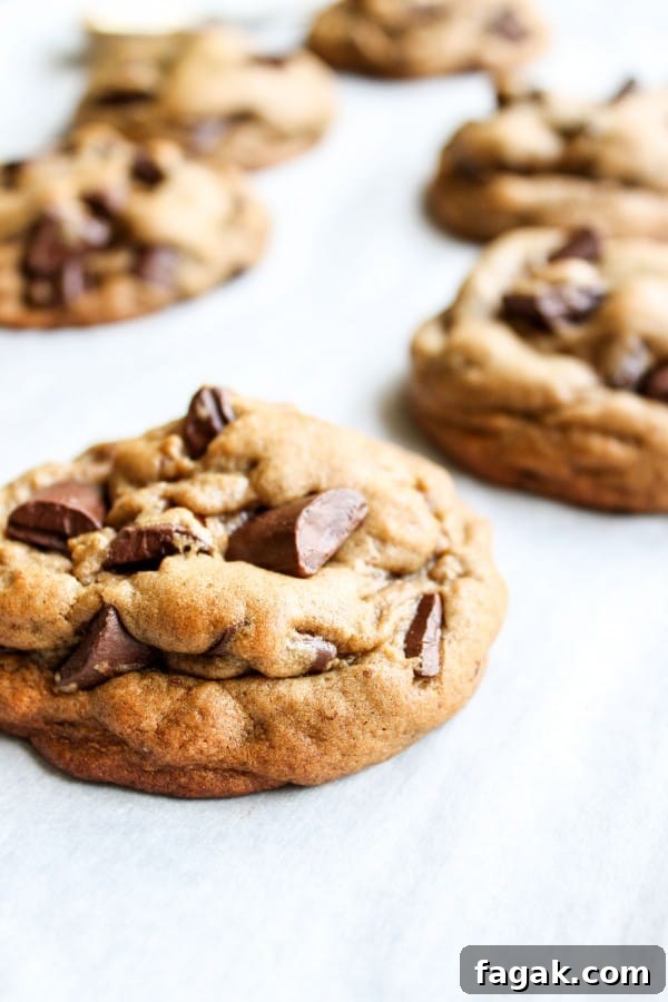 Chocolate Chunk Gingerbread Cookies Recipe with Molten Chunks 7 Chocolate Chunk Gingerbread Cookies