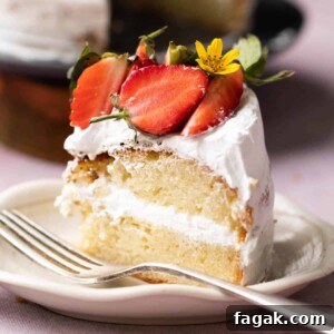 eggless vanilla sponge cake with strawberries