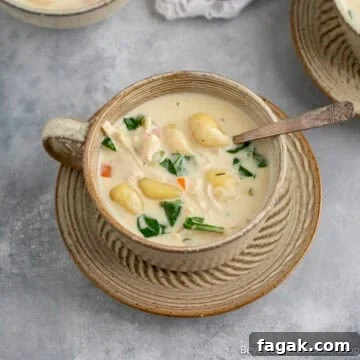 A mug filled with creamy chicken gnocchi soup.