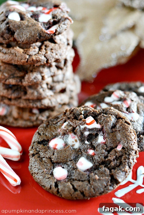 Double Chocolate Chunk Peppermint Cookies