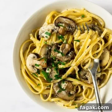 A close up view of a bowl of creamy mushroom pasta.
