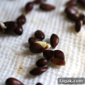 How to Grow Apple Trees from Seed: A Step-by-Step Guide 7 growing apples from seed