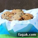 Chocolate and applesauce flavored cookies that are melt-in-your-mouth tender and delicious. Egg-free, flavorful, and light, you can't have just one of these yummy Chocolate Applesauce Cookies!