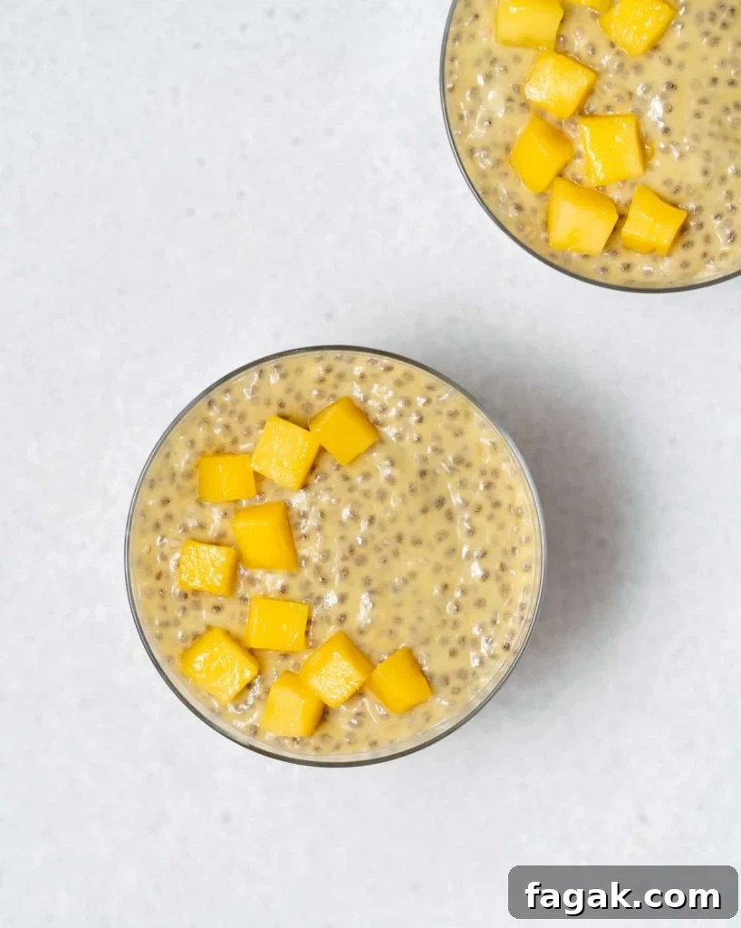 Creamy Mango Chia Pudding Recipe for Tropical Breakfast 13 mango chunks added over a cup of chia pudding