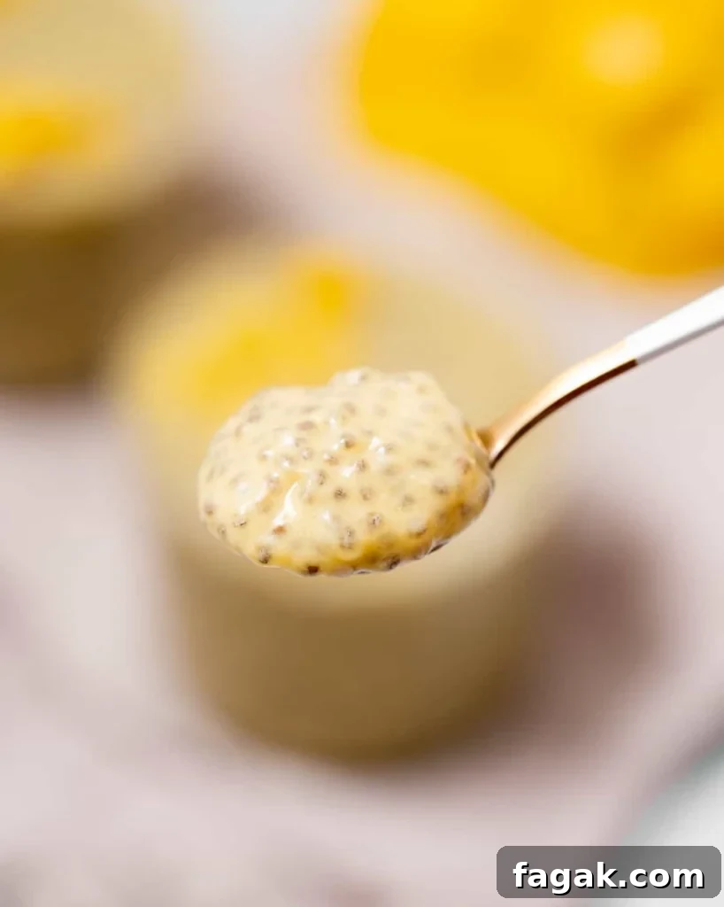 Creamy Mango Chia Pudding Recipe for Tropical Breakfast 14 spoonful of mango chia pudding