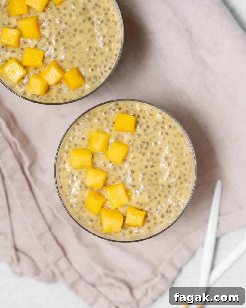 Creamy Mango Chia Pudding Recipe for Tropical Breakfast 16 top view chia pudding in a cup