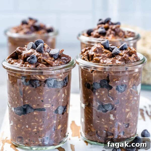 Creamy Mango Chia Pudding Recipe for Tropical Breakfast 17 Four jars of chocolate overnight oats with chocolate chips.