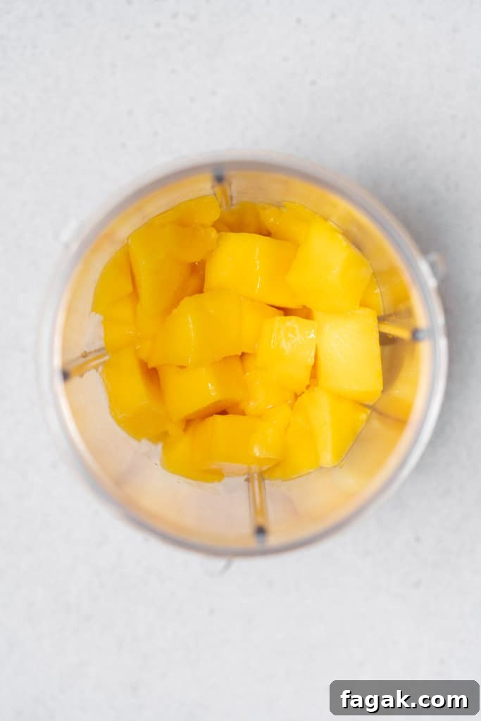 Creamy Mango Chia Pudding Recipe for Tropical Breakfast 5 mango chunks in blender