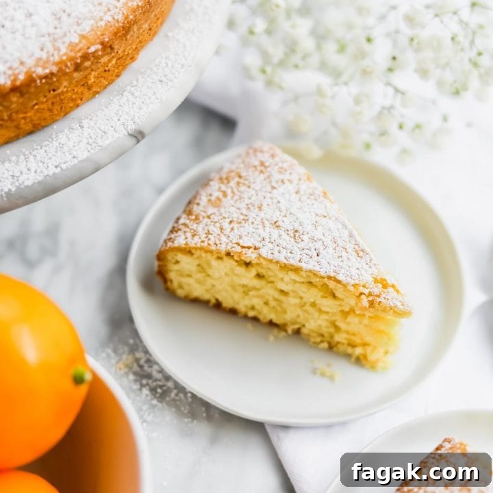 Slice of Meyer Lemon Olive Oil Cake with lemons.