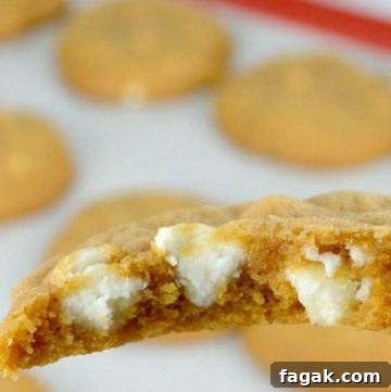 Pumpkin Spice Cookies cut in half, showing white chocolate chips inside