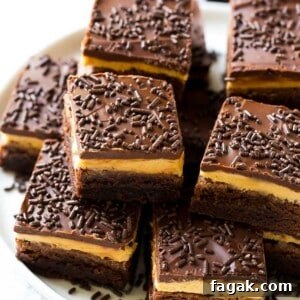 Peanut butter brownies with a chocolate brownie base, peanut butter frosting and fudge topping.