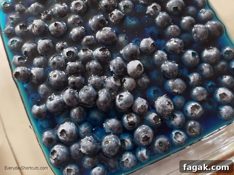 Patriotic Red, White & Blueberry Dessert Recipe 6 img 78590 5