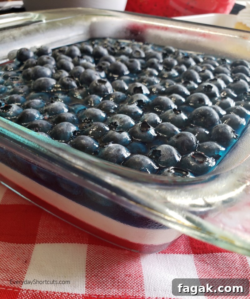 Patriotic Red, White & Blueberry Dessert Recipe 7 img 78590 6
