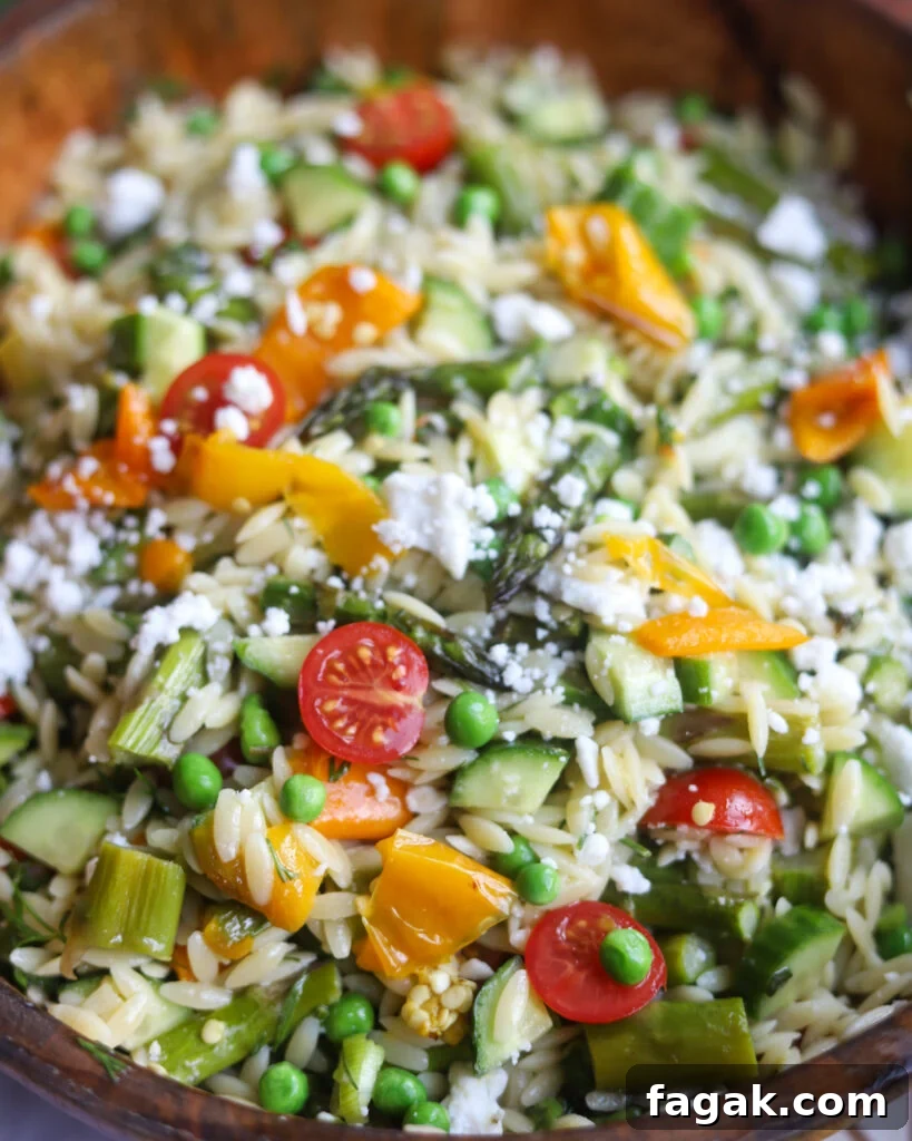 Close-up of brown bowl of orzo salad with asparagus and bell peppers, peas, cucumbers, vegan feta cheese and cherry tomatoes with a Dijon mustard vinaigrette dressing.