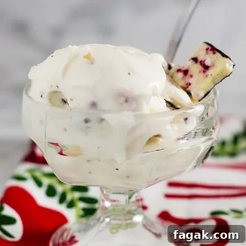 Rich white chocolate peppermint bark ice cream is a delicious holiday treat, with bits of the popular Christmas treat mixed throughout the ice cream.