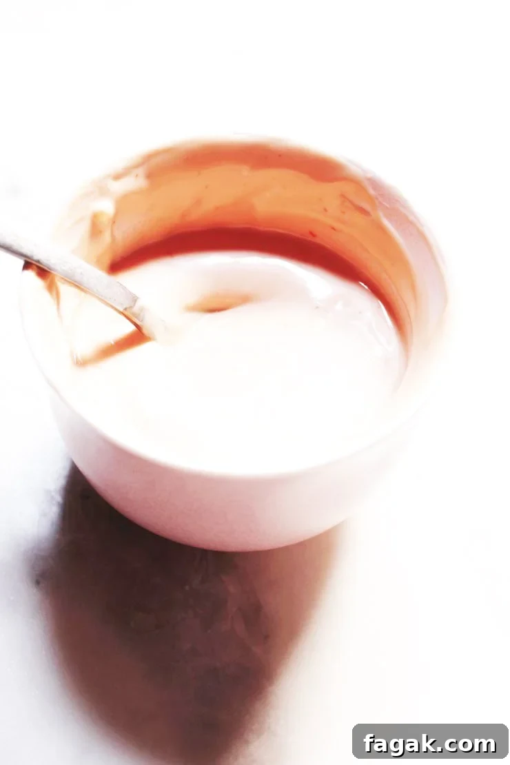Mayo Chup / Mayo Ketchup
