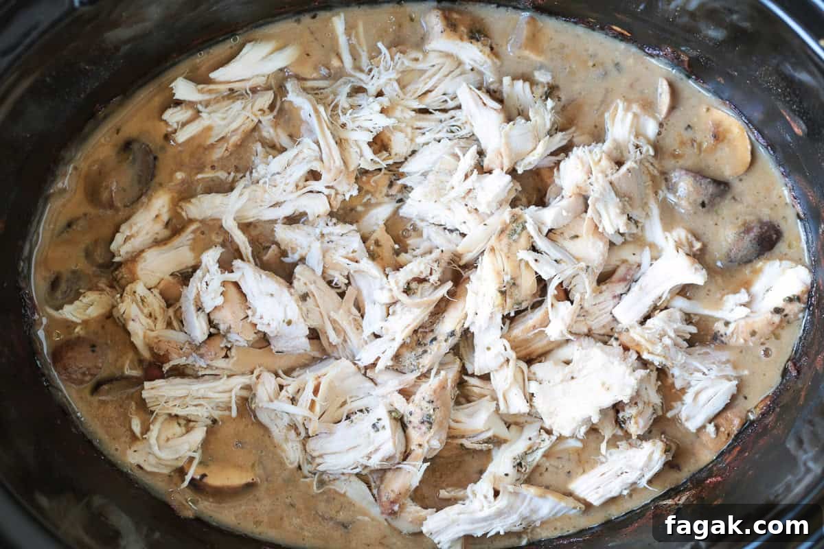 shredded chicken in gravy in a slow cooker