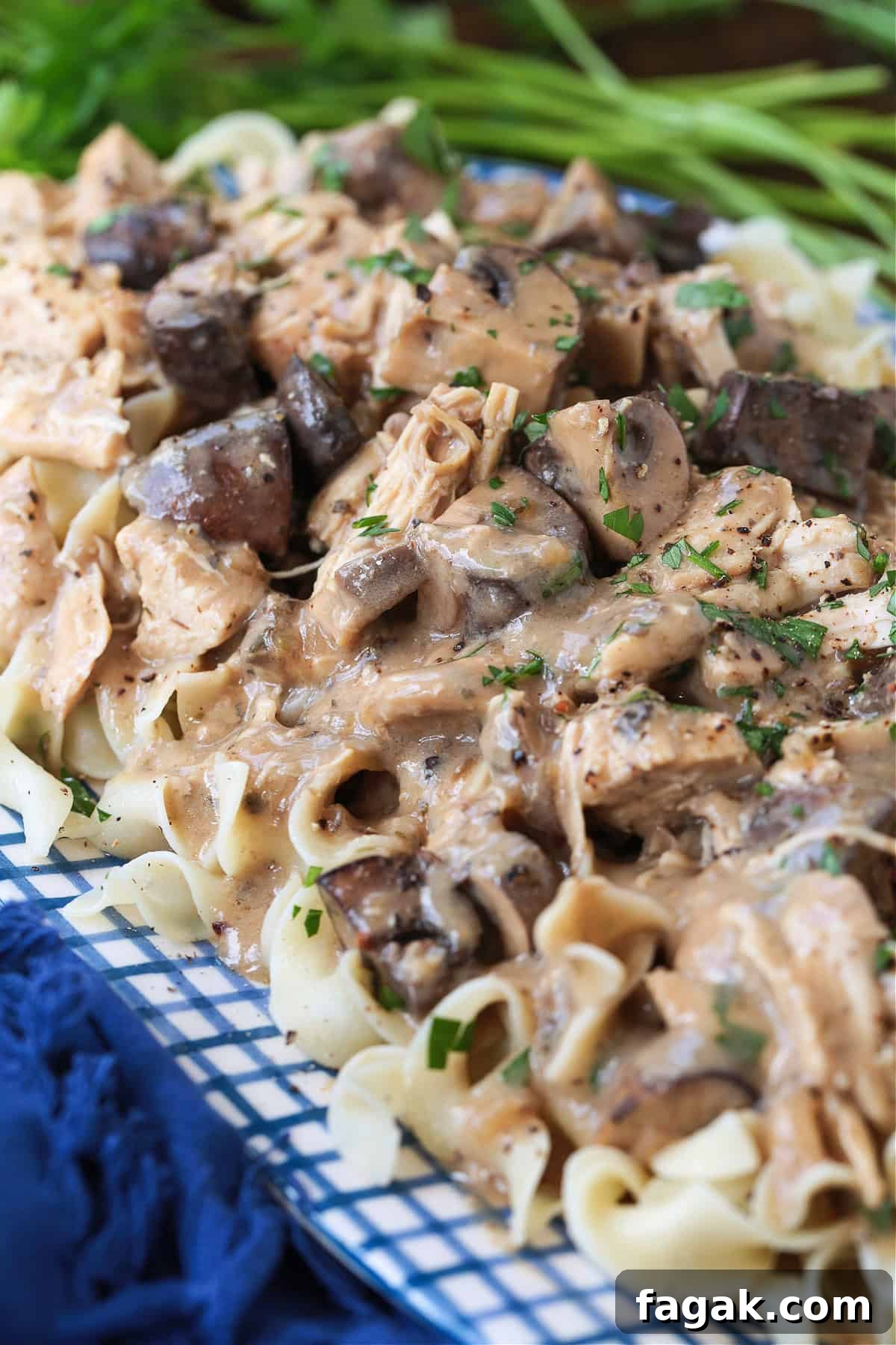 chicken stroganoff with gravy served over noodles