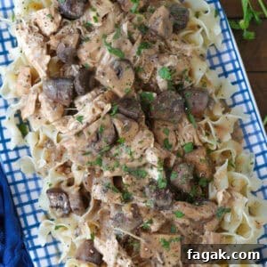 chicken stroganoff with noodles on a blue and white platter