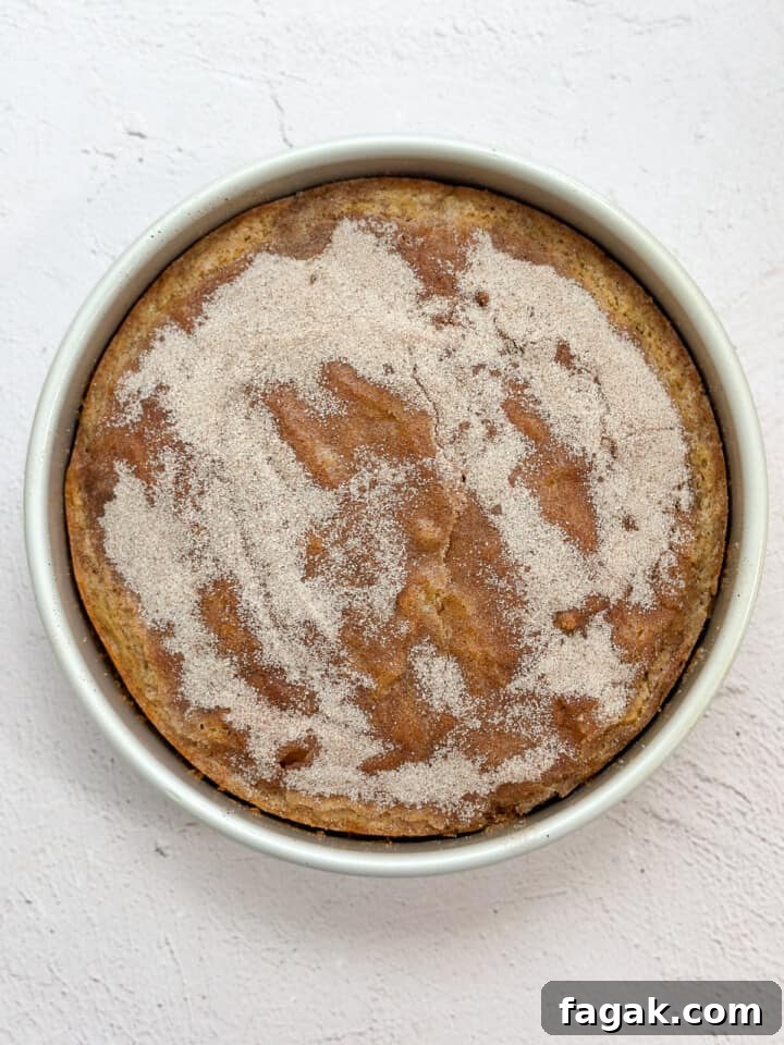 cake in the pan after baking.
