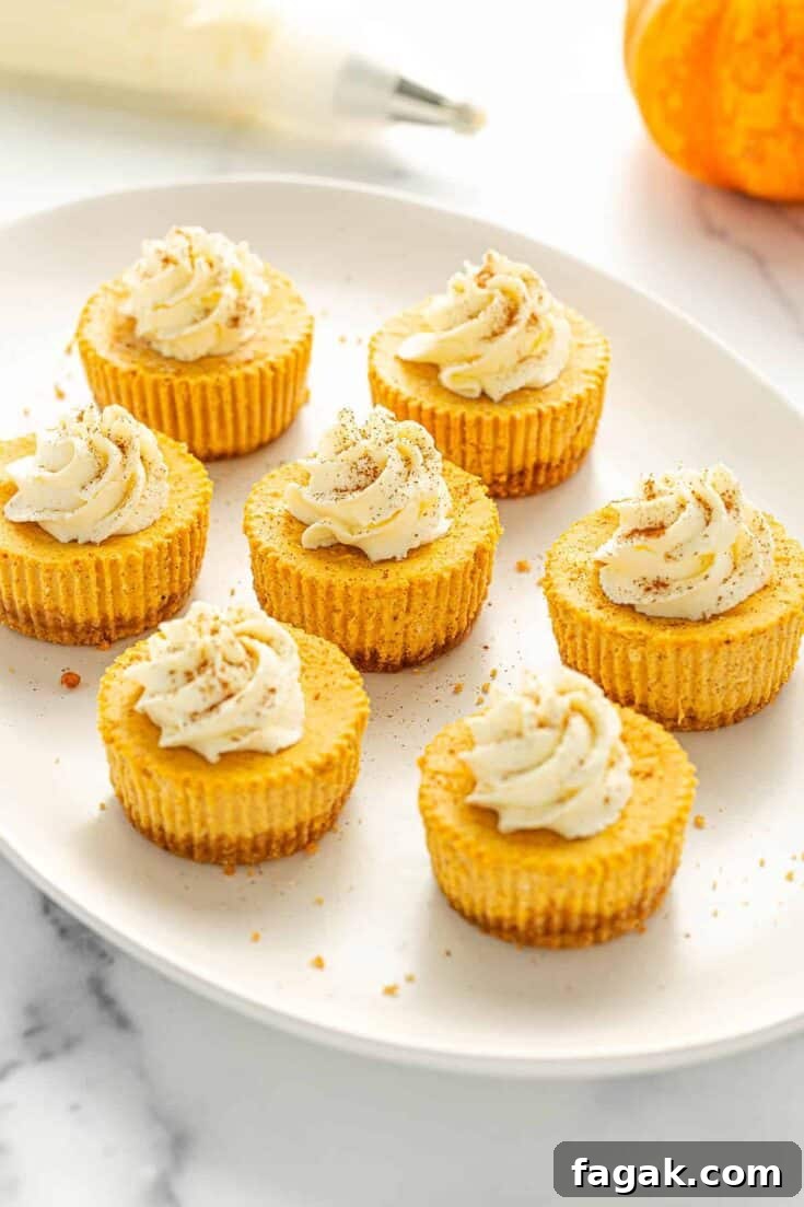 Image for Mini Pumpkin Cheesecakes