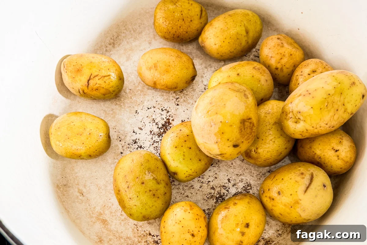 Raw baby Yukon gold potatoes in the bottom of a large pot before boiling.