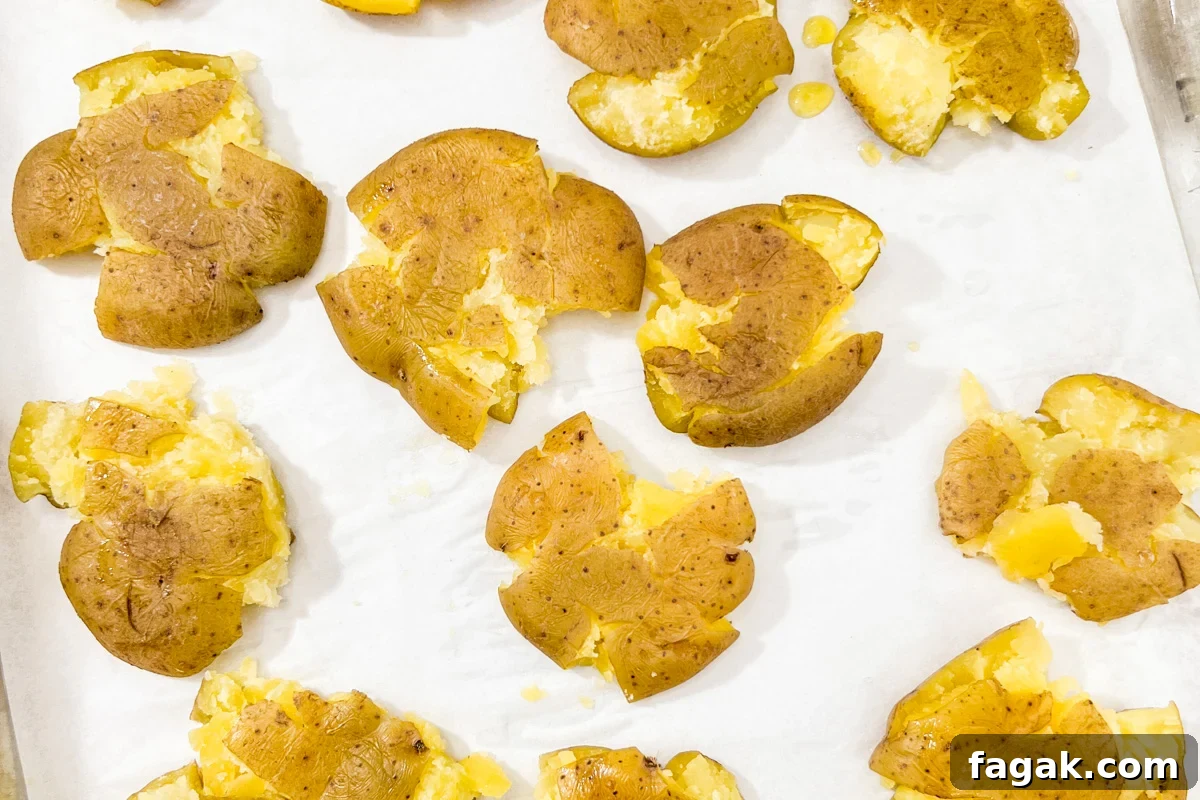 Boiled potatoes smashed flat on a baking sheet, ready for seasoning.