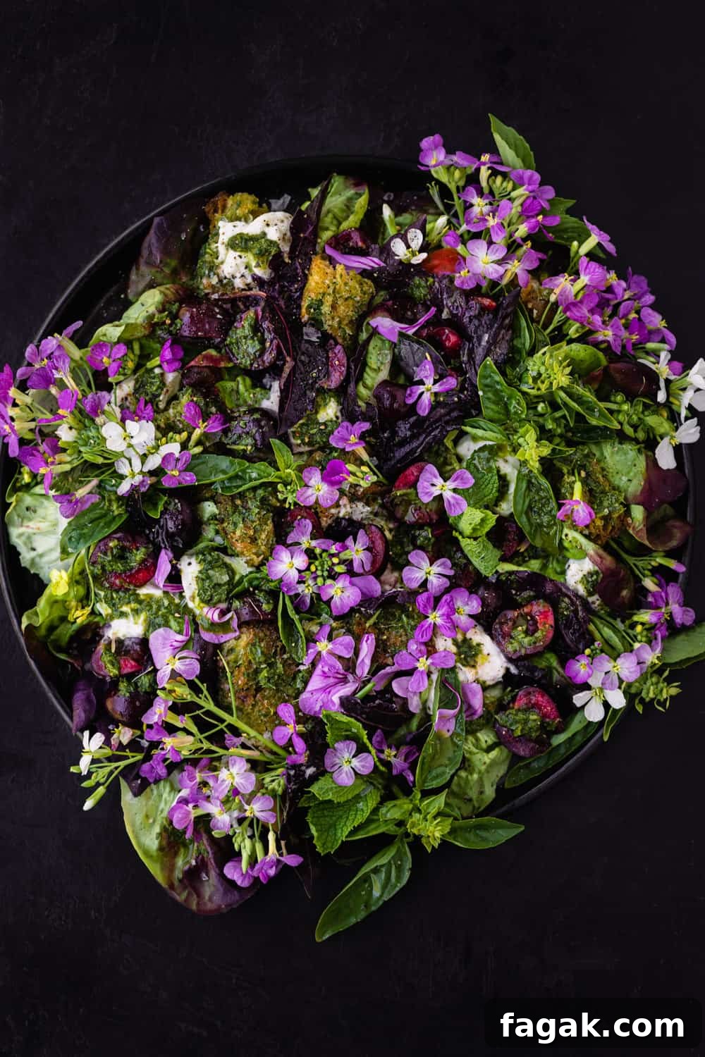 Summer cherry and fresh herb salad! with croutons, little gems, burrata and pesto vinaigrette on a black plate. Overhead shot on a black background.