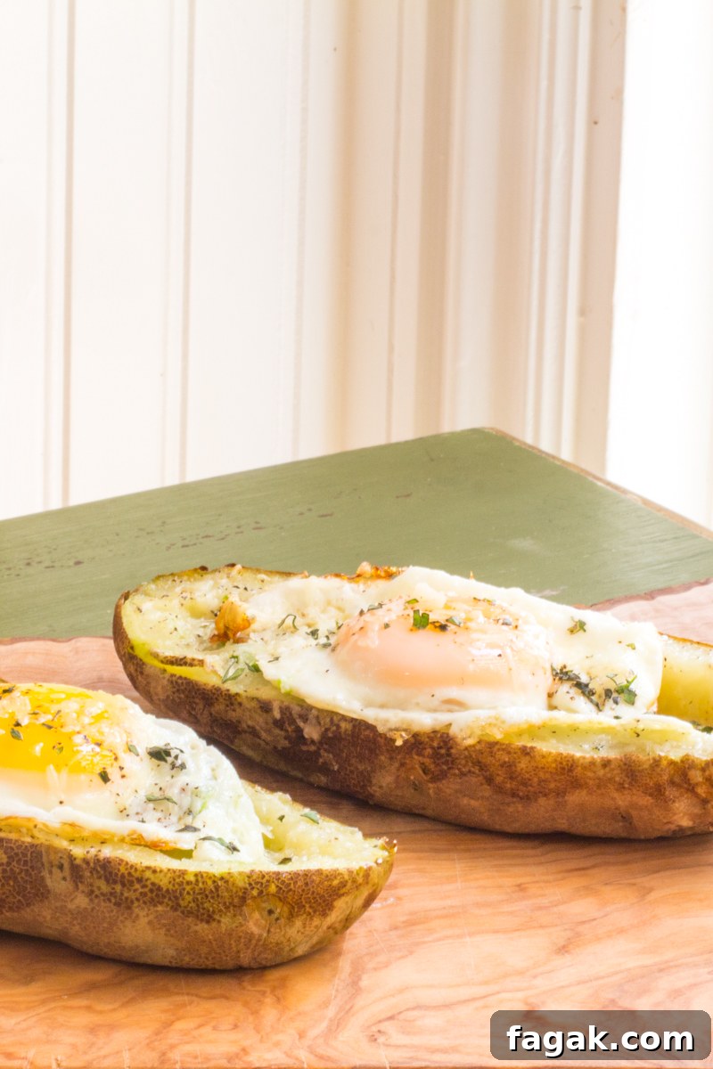 Lazy weekend breakfast of baked potato skins stuffed with cheese, avocado and an egg.