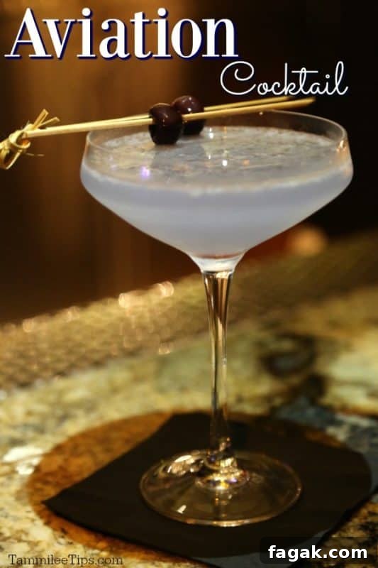 Aviation cocktail over a martini glass with a purple cocktail and garnish