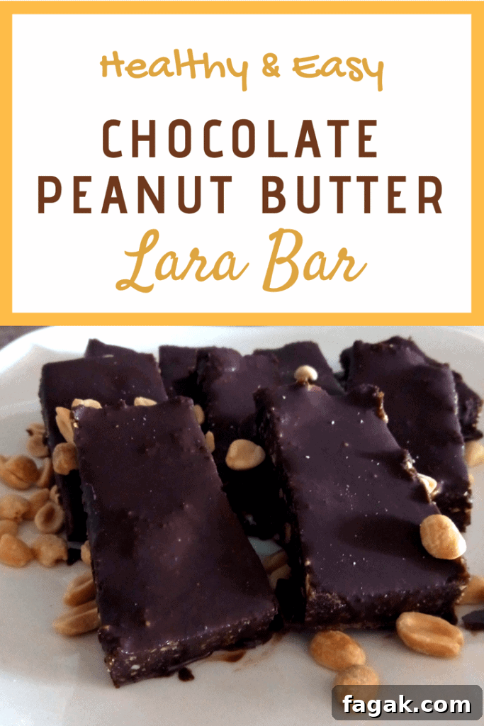 Homemade Chocolate Peanut Butter LaraBars Recipe for Energy Snacks 2 Homemade Chocolate peanut butter lara bars homemade lara bars