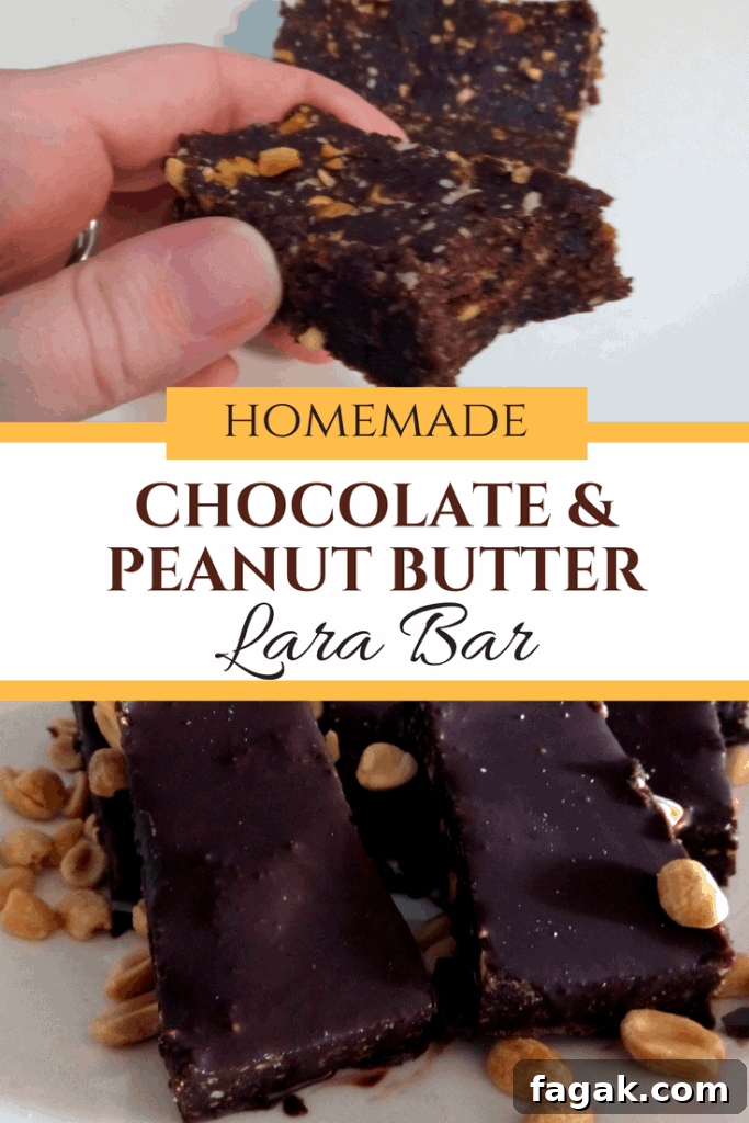 Homemade Chocolate Peanut Butter LaraBars Recipe for Energy Snacks 3 the easiest chocolate peanut butter lara bar! Homemade lara bar. Delicious, healthy, easy snack