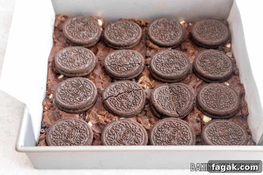 cookies on top of dough