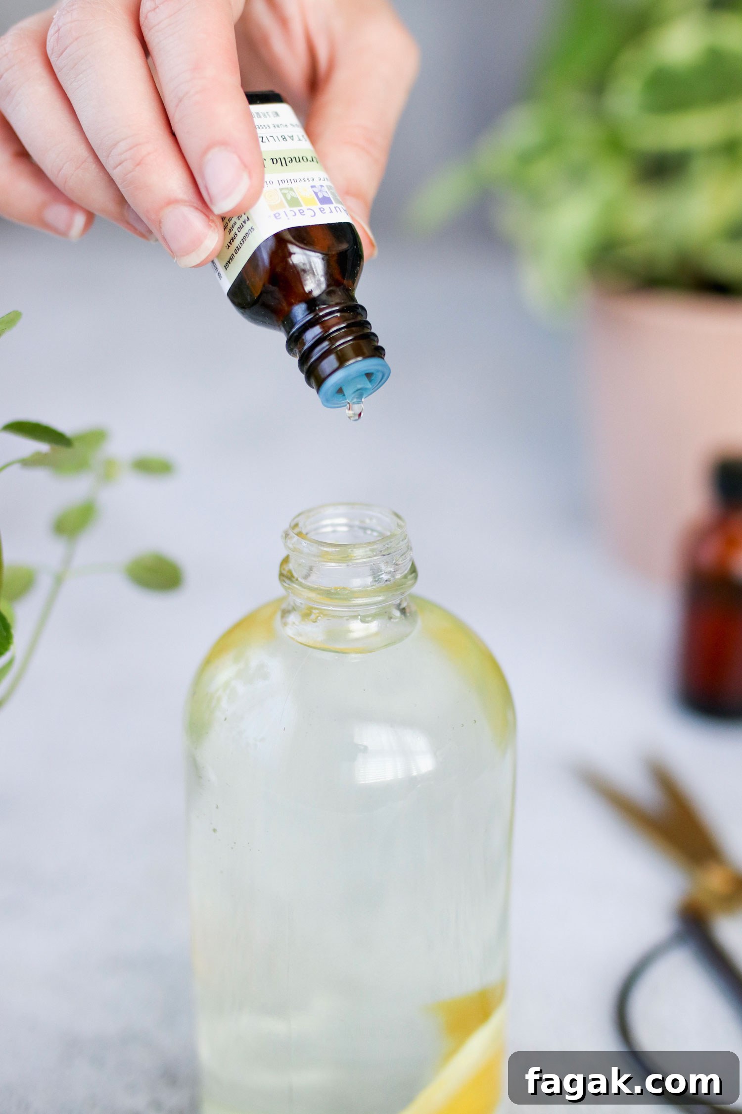 Citronella Bug Spray