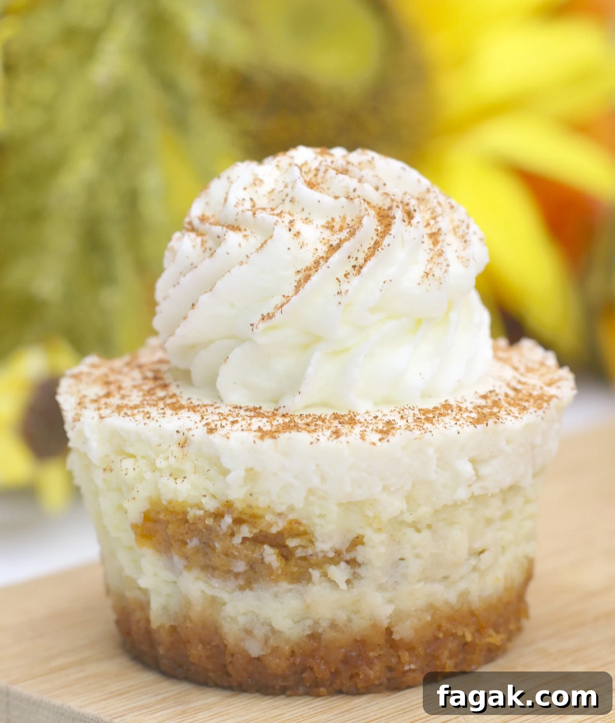 Pumpkin Swirl Cheesecakes main image