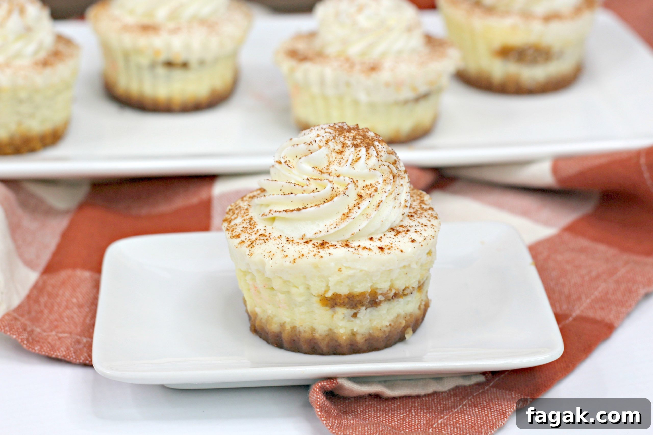 Close up pumpkin swirl cheesecake