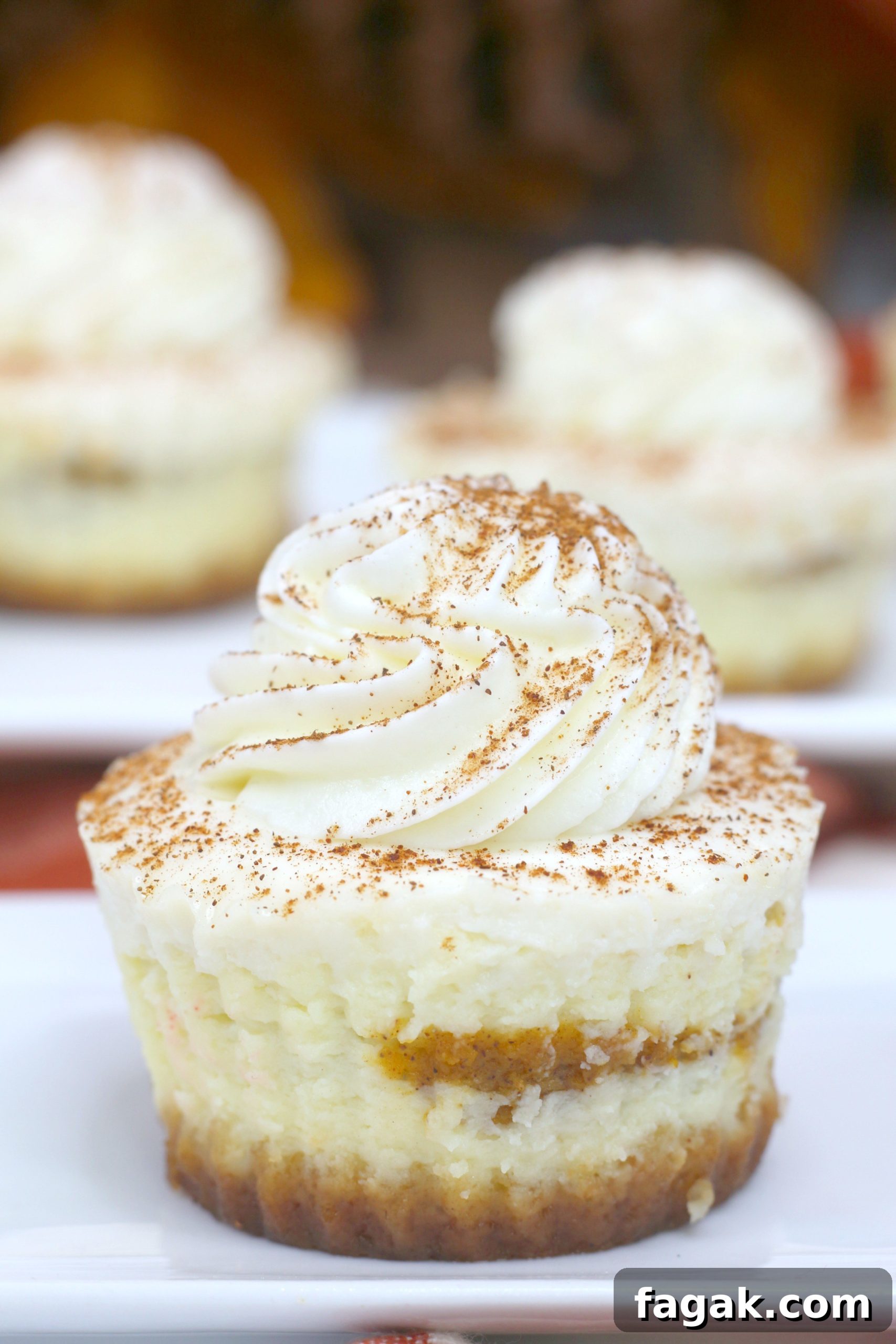 Assorted pumpkin swirl cheesecakes