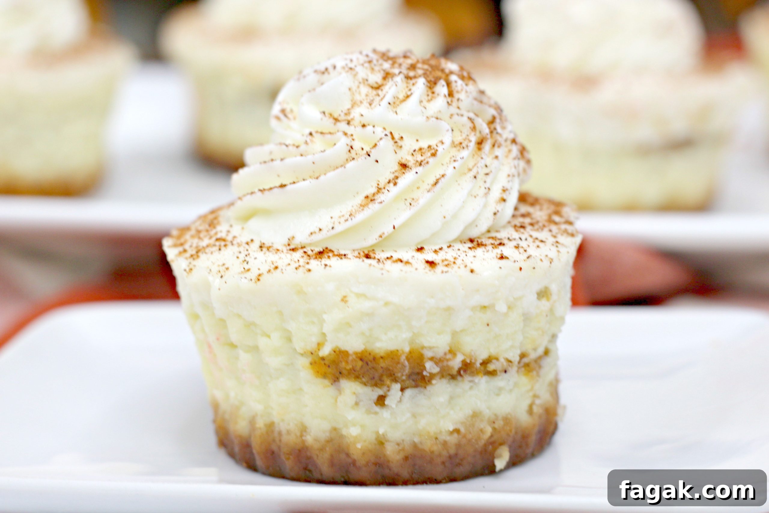 Pumpkin swirl cheesecakes on tray