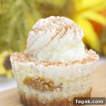 Pumpkin Swirl Cheesecakes thumbnail